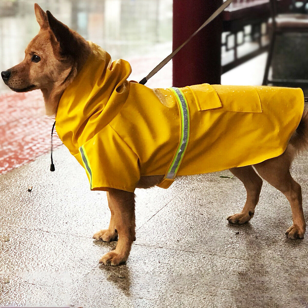 Waterproof Reflective Dog Raincoat with Hood - Elibark Dog Supplies