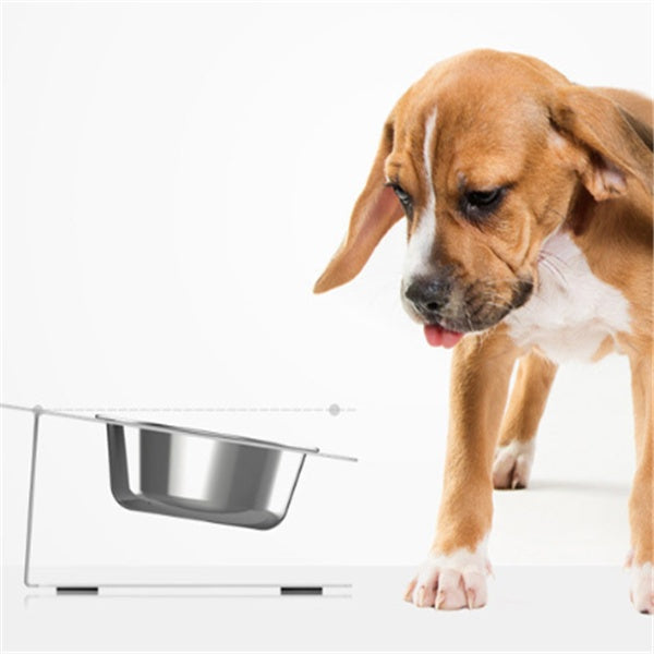 Inclined Stainless Steel Dog Bowl – Anti-Moisture & Stylish - Elibark Dog Supplies