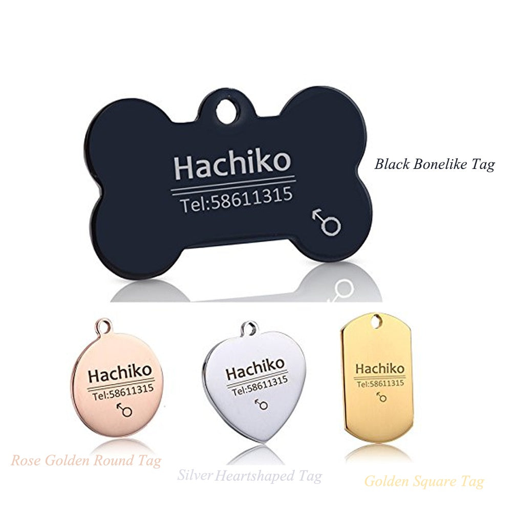 Custom Pet ID Tags | Engraved Dog Name, Photo & Address | Titanium Steel