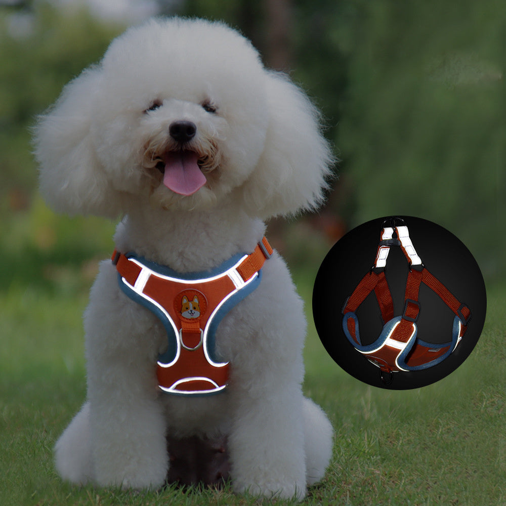 Adjustable No-Pull Harness & Leash Set for Small Dogs - Elibark Dog Supplies