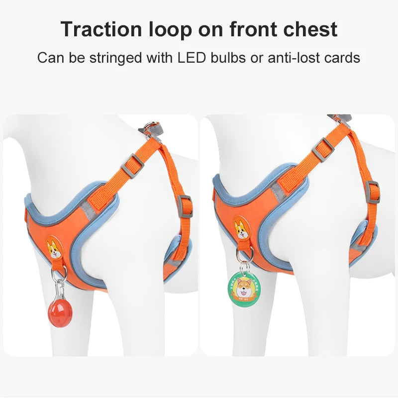 Adjustable No-Pull Harness & Leash Set for Small Dogs - Elibark Dog Supplies