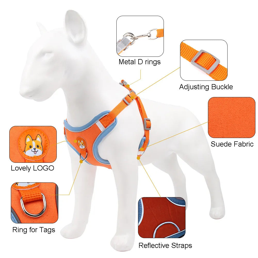 Adjustable No-Pull Harness & Leash Set for Small Dogs - Elibark Dog Supplies