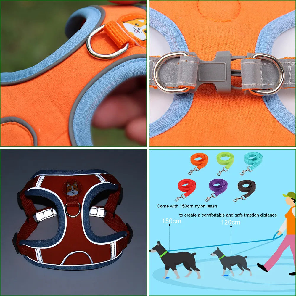 Adjustable No-Pull Harness & Leash Set for Small Dogs - Elibark Dog Supplies
