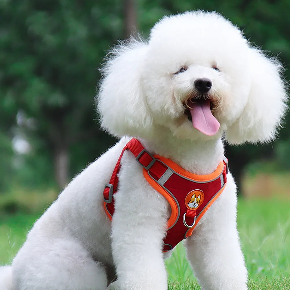 Adjustable No-Pull Harness & Leash Set for Small Dogs - Elibark Dog Supplies