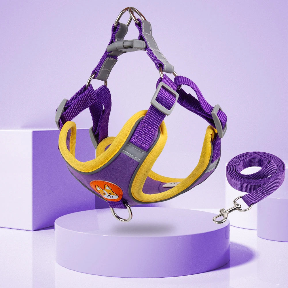 Adjustable No-Pull Harness & Leash Set for Small Dogs - Elibark Dog Supplies