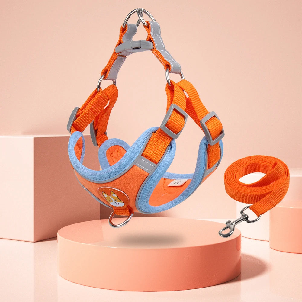 Adjustable No-Pull Harness & Leash Set for Small Dogs - Elibark Dog Supplies