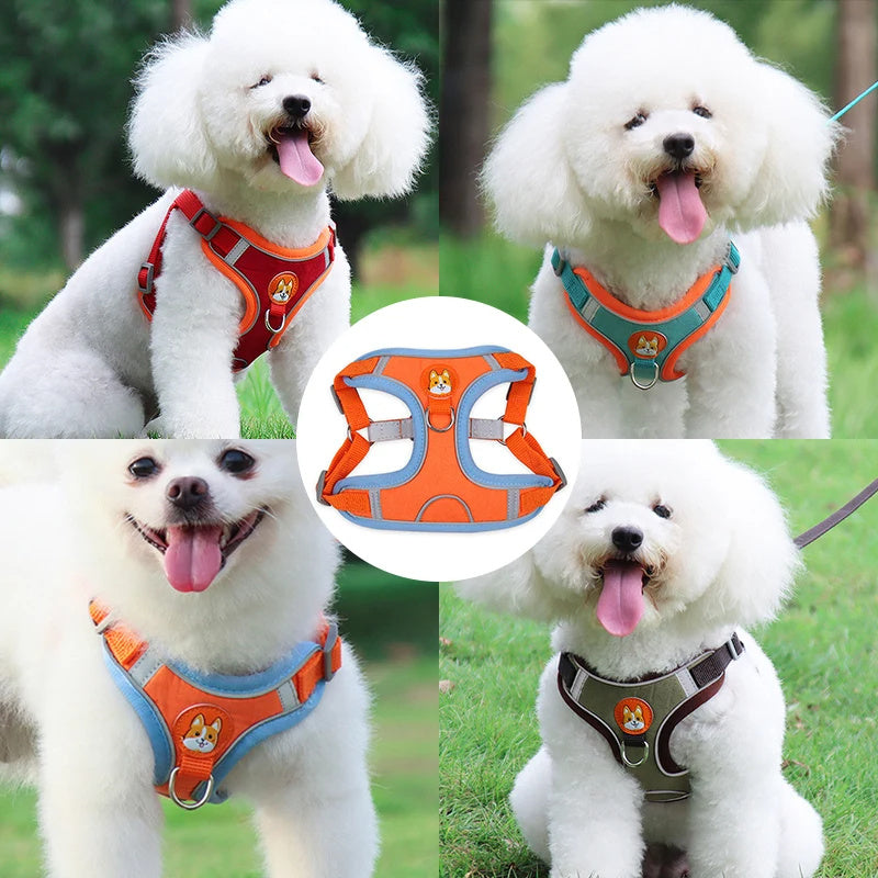 Adjustable No-Pull Harness & Leash Set for Small Dogs - Elibark Dog Supplies