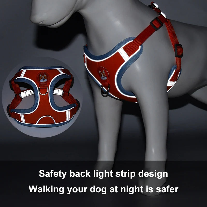 Adjustable No-Pull Harness & Leash Set for Small Dogs - Elibark Dog Supplies