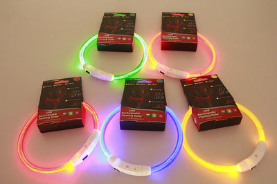 LED Dog Collar – USB Rechargeable Safety Light for Night Walks - Elibark Dog Supplies