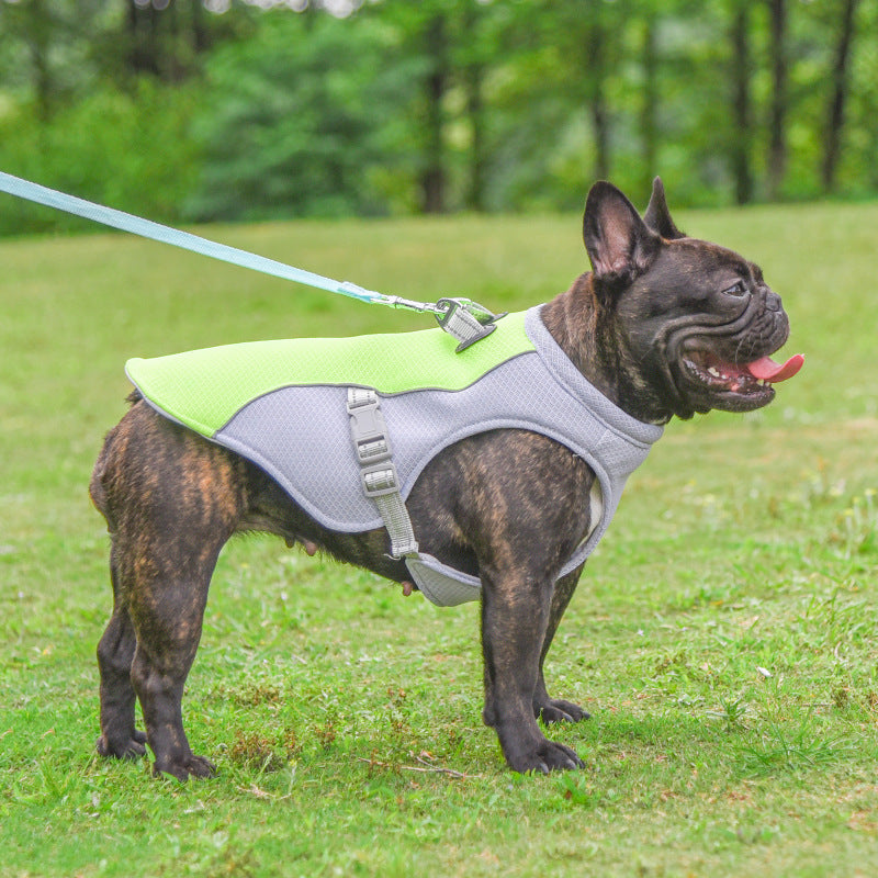 Dog Cooling Vest – Breathable Summer Clothes for Small & Large Dogs