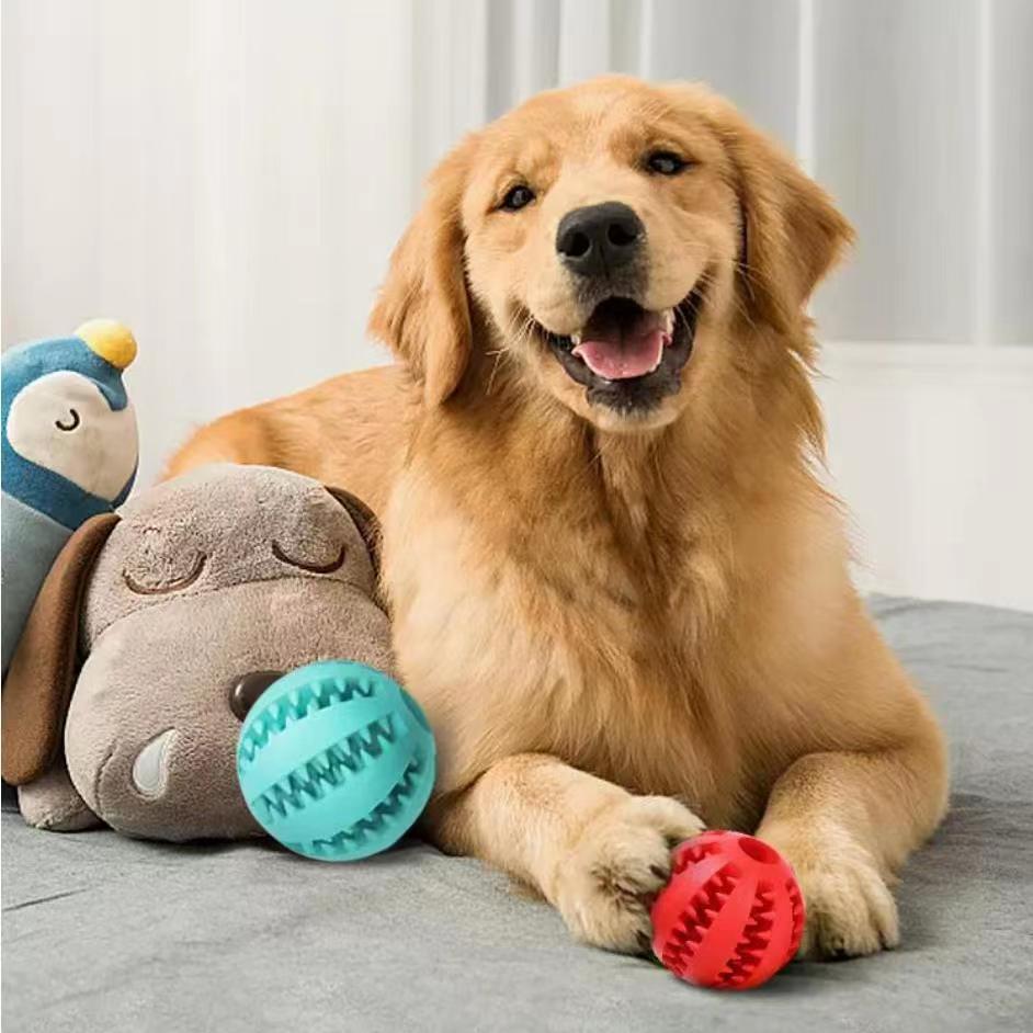 Durable Tug & Treat Toy for Chewing, Fetch, and Fun - Elibark Dog Supplies