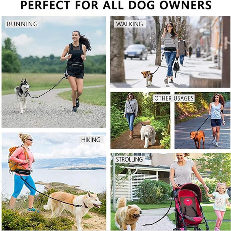 Jog With Your Dog Leash - Elibark Dog Supplies