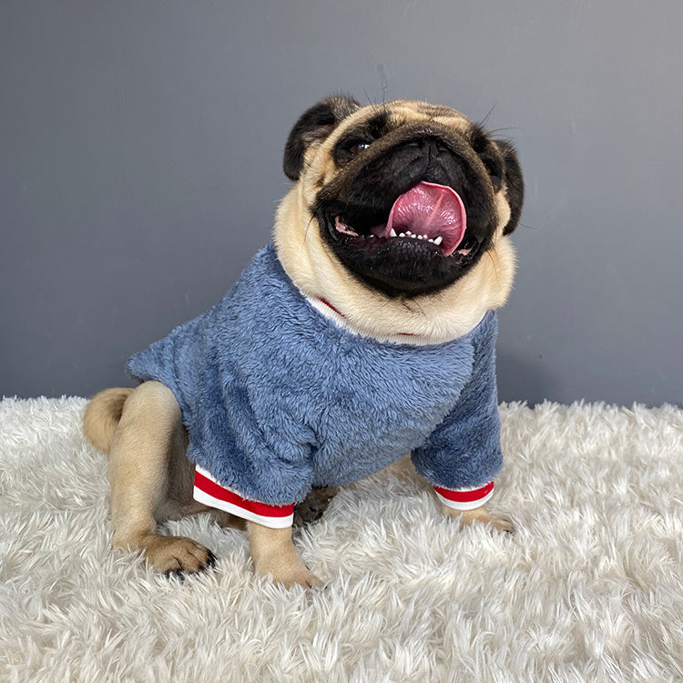 Blue Cotton Dog Sweater – Comfy Fit for All Sizes - Elibark Dog Supplies