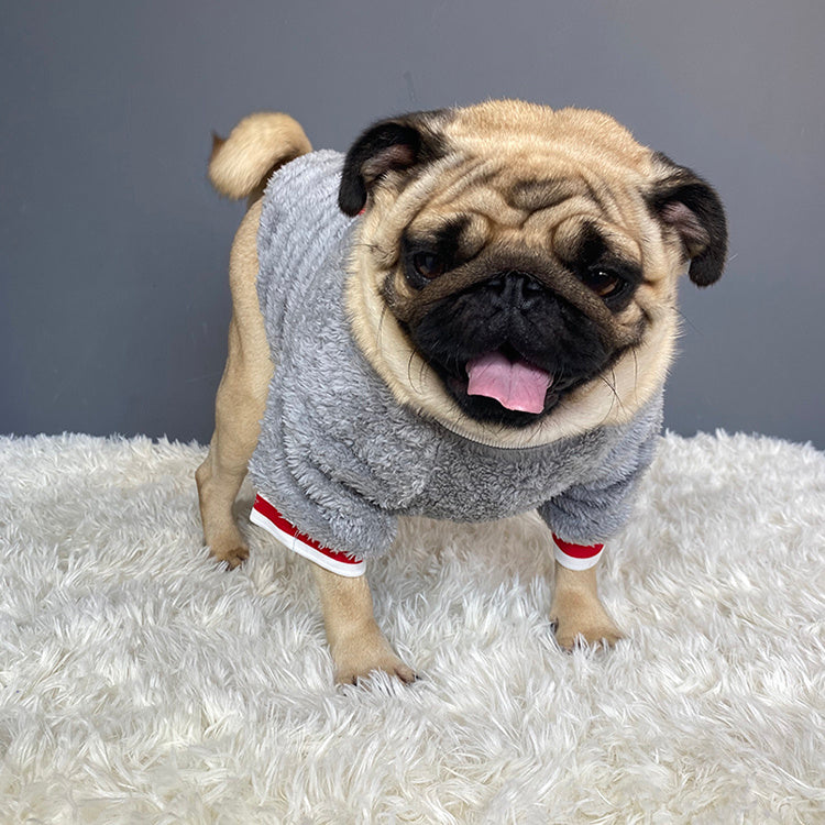 Blue Cotton Dog Sweater – Comfy Fit for All Sizes - Elibark Dog Supplies