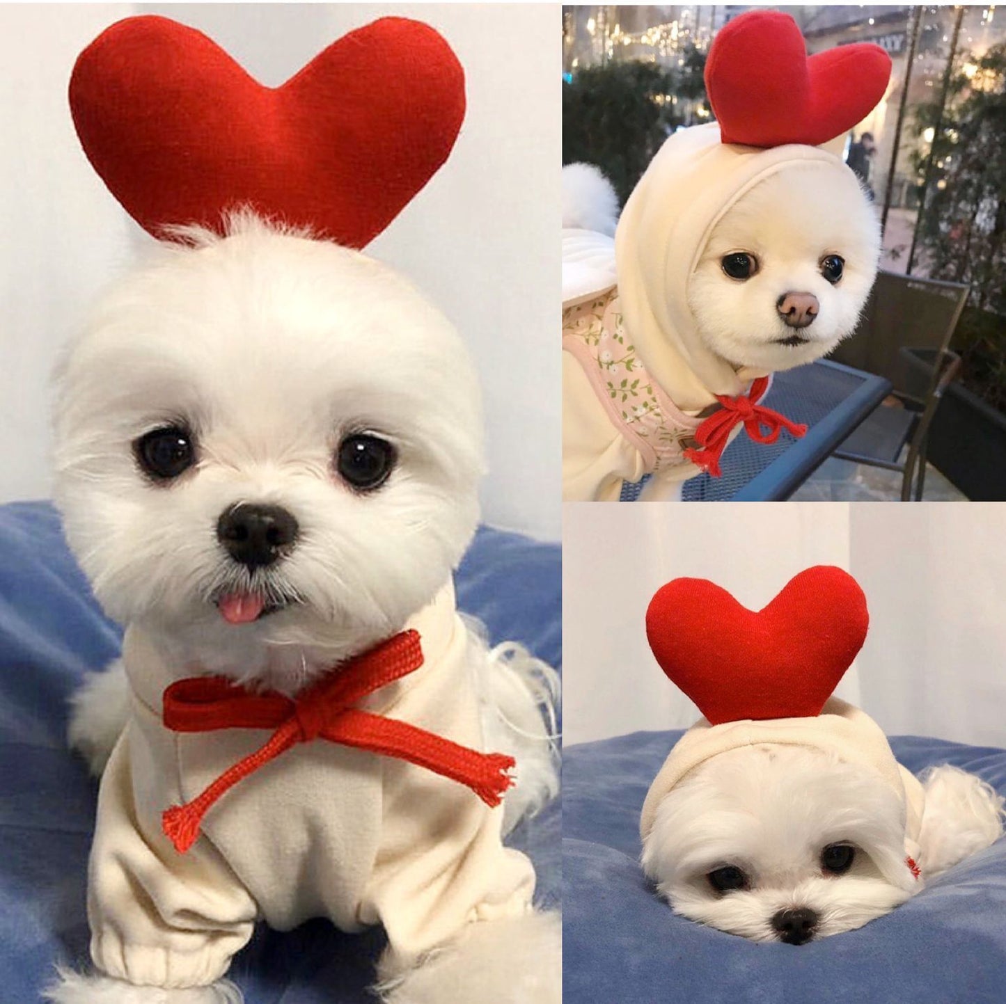 Cute Fruit Dog Hoodie – Warm Fleece Outfit for Small Pets - Elibark Dog Supplies
