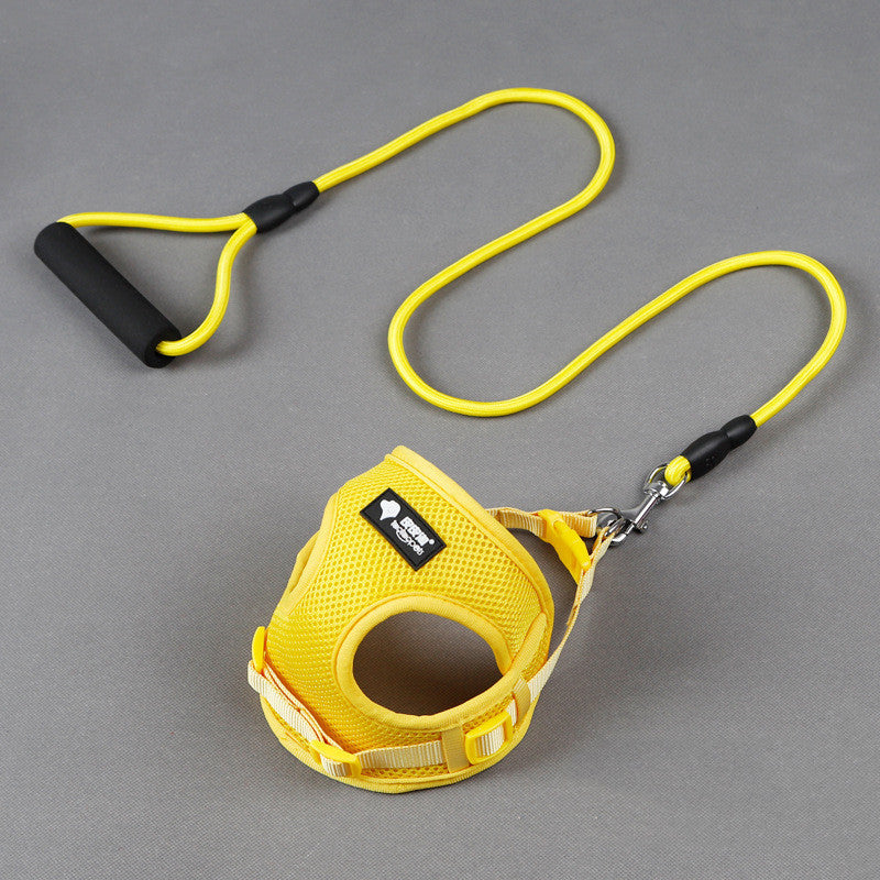 Durable Pet Leash with Foam Handle – For Small Dogs - Elibark Dog Supplies