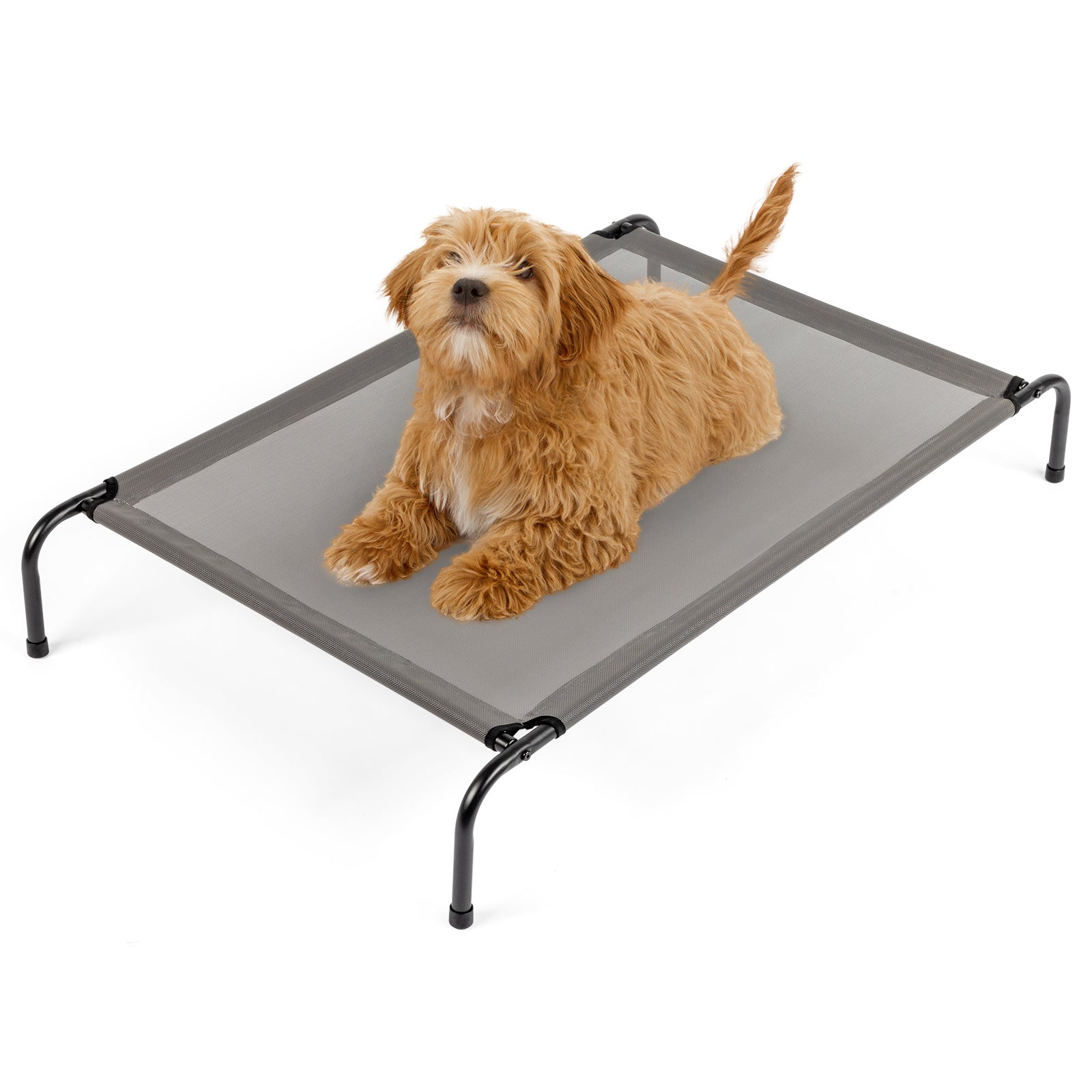 Elevated Dog Bed – Cool, Comfy & Easy to Clean - Elibark Dog Supplies