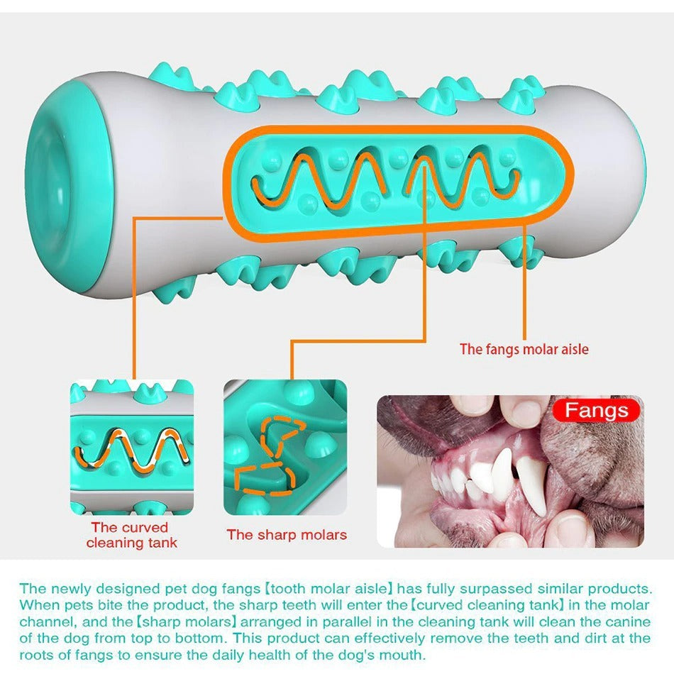 Tough Squeaky Chew Toy for Strong Dogs - Elibark Dog Supplies