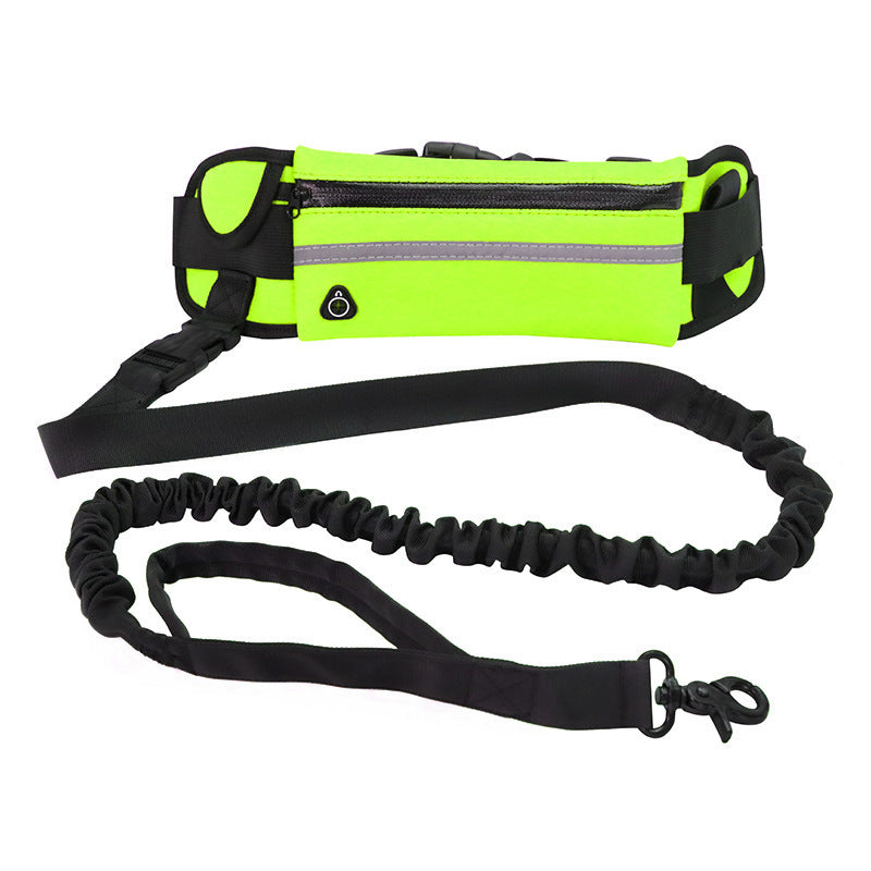 Jog With Your Dog Leash - Elibark Dog Supplies