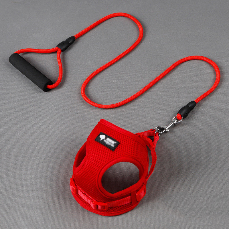Durable Pet Leash with Foam Handle – For Small Dogs - Elibark Dog Supplies