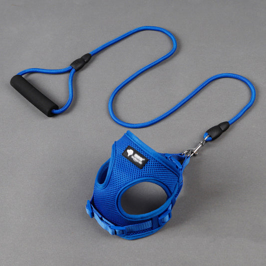 Durable Pet Leash with Foam Handle – For Small Dogs - Elibark Dog Supplies