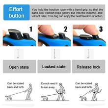 Retractable Pet Leash – One-Touch Control for Easy Walks - Elibark Dog Supplies