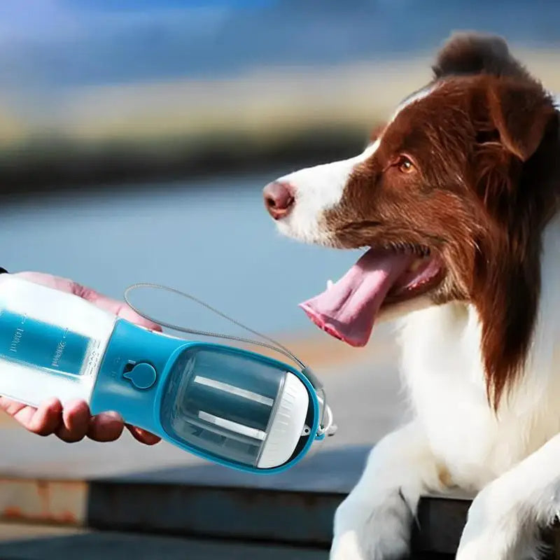 3-in-1 Dog Travel Cup – Water, Food & Waste Bag Dispenser - Elibark Dog Supplies