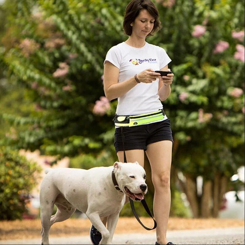Jog With Your Dog Leash - Elibark Dog Supplies