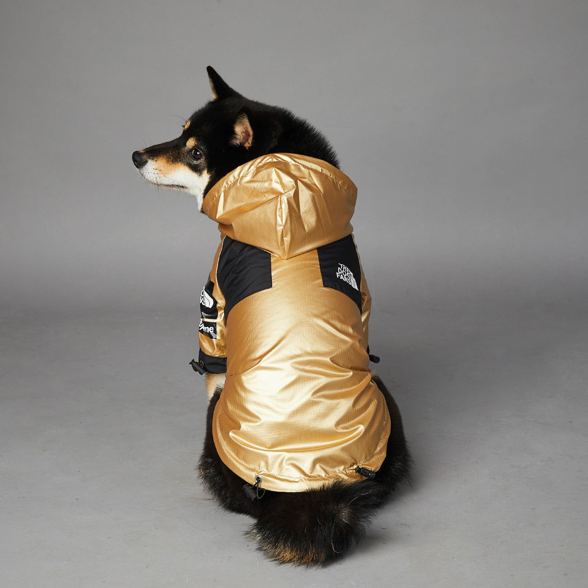 Waterproof Golden Dog Raincoat – Stylish Pet Jacket for Large Dogs (S–5XL) - Elibark Dog Supplies