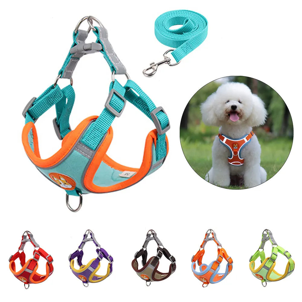 Adjustable No-Pull Harness & Leash Set for Small Dogs - Elibark Dog Supplies