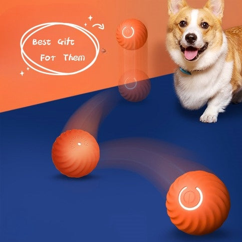 Interactive USB-Powered Jumping Ball Toy for Active Dogs - Elibark Dog Supplies