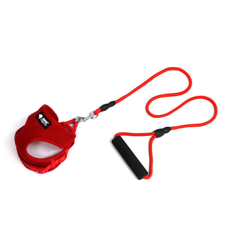 Durable Pet Leash with Foam Handle – For Small Dogs - Elibark Dog Supplies