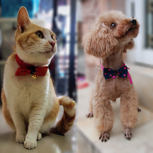 Cute Adjustable Pet Bow Tie with Bell – Stylish Accessory for Dogs - Elibark Dog Supplies