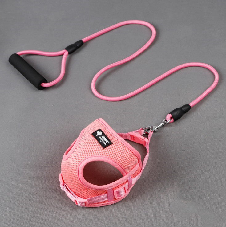 Durable Pet Leash with Foam Handle – For Small Dogs - Elibark Dog Supplies