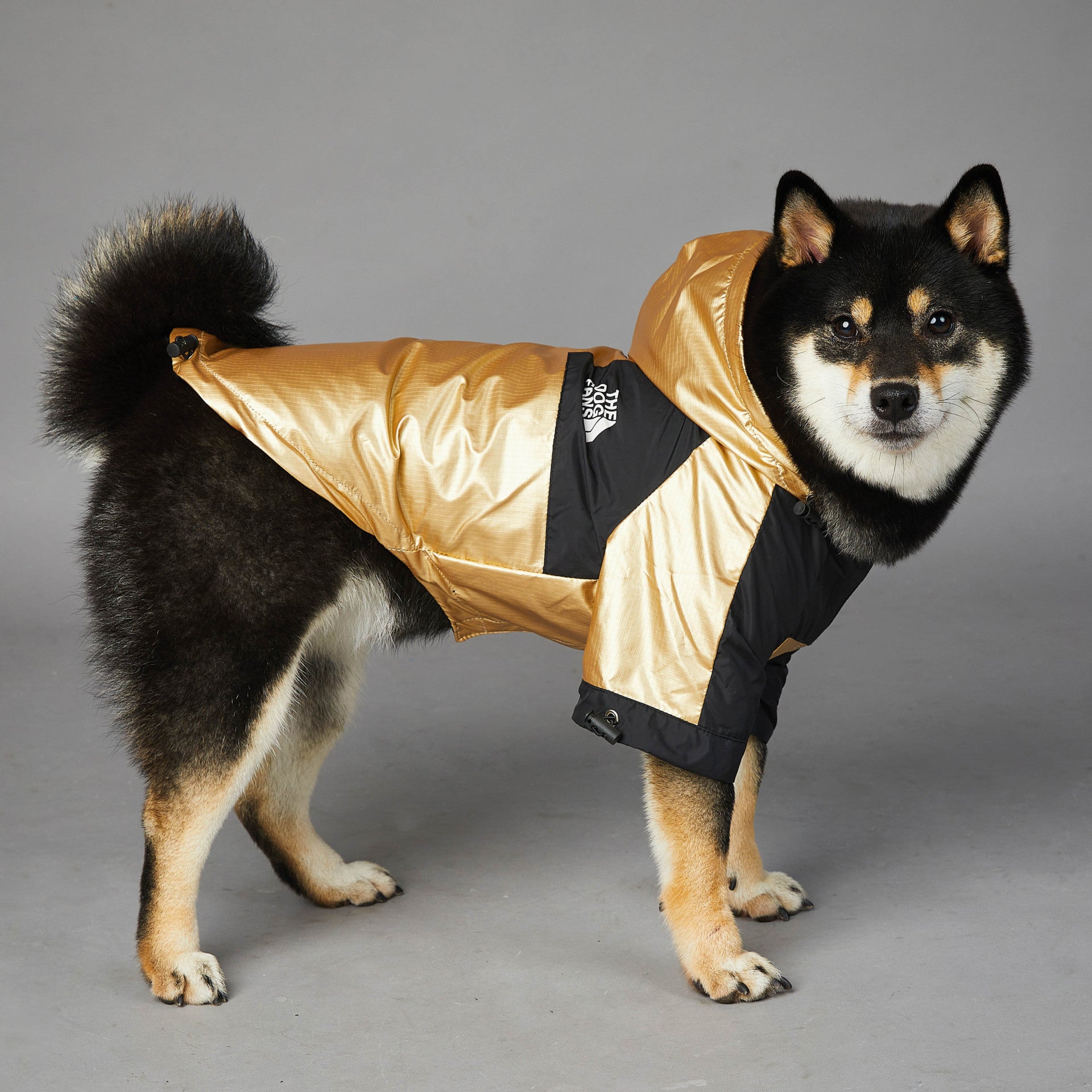 Waterproof Golden Dog Raincoat – Stylish Pet Jacket for Large Dogs (S–5XL) - Elibark Dog Supplies