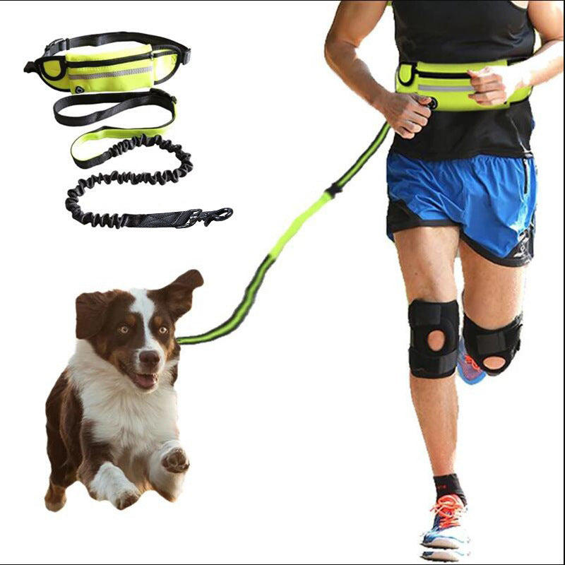 Jog With Your Dog Leash - Elibark Dog Supplies