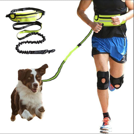 Jog With Your Dog Leash - Elibark Dog Supplies