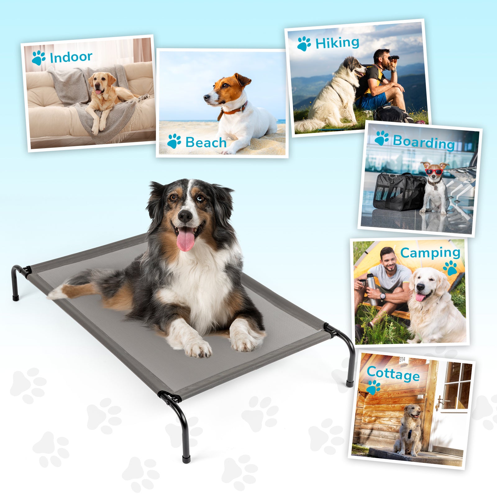 Elevated Dog Bed – Cool, Comfy & Easy to Clean - Elibark Dog Supplies