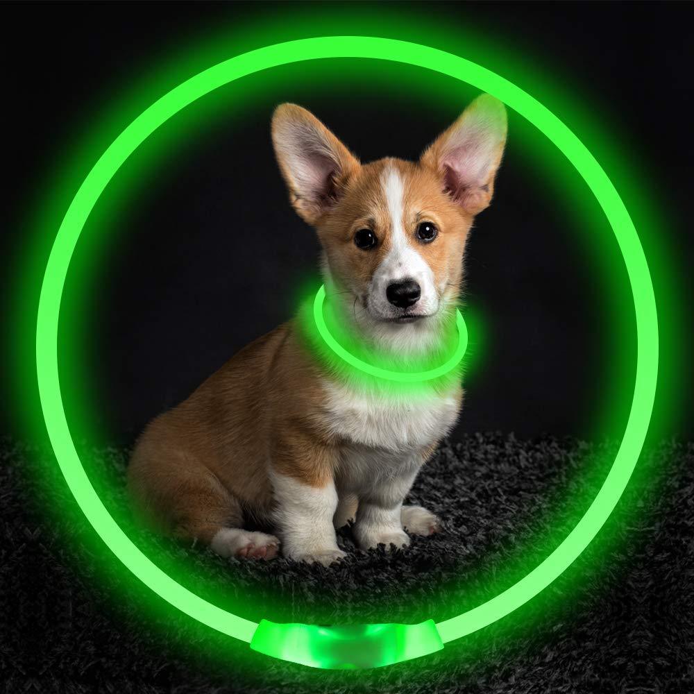 LED Dog Collar – USB Rechargeable Safety Light for Night Walks - Elibark Dog Supplies