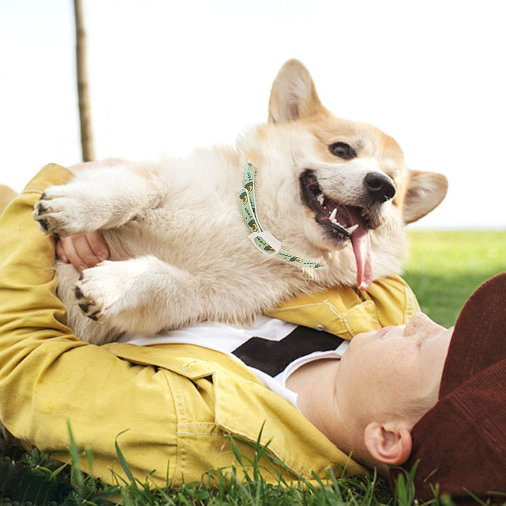 Durable, Water-Resistant Anti-Flea & Calming Collar for Dogs - Elibark Dog Supplies