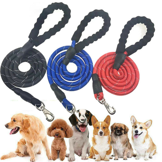 Hands-Free Running Leash with Waist Belt for Active Dogs - Elibark Dog Supplies
