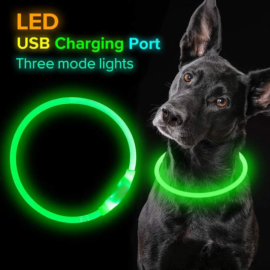 LED Dog Collar – USB Rechargeable Safety Light for Night Walks - Elibark Dog Supplies