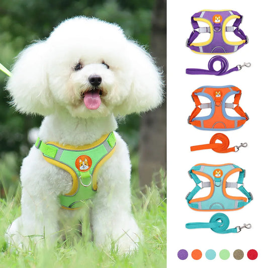 Adjustable No-Pull Harness & Leash Set for Small Dogs - Elibark Dog Supplies