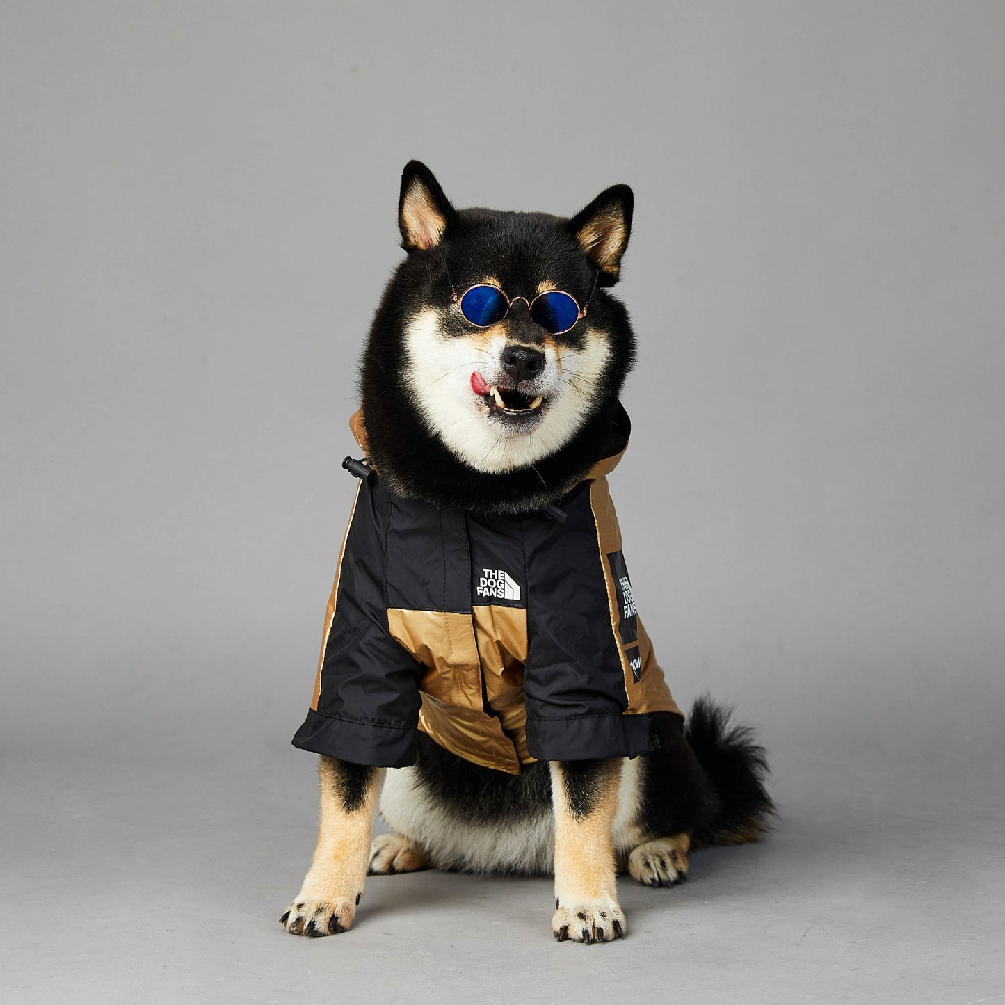 Waterproof Golden Dog Raincoat – Stylish Pet Jacket for Large Dogs (S–5XL) - Elibark Dog Supplies