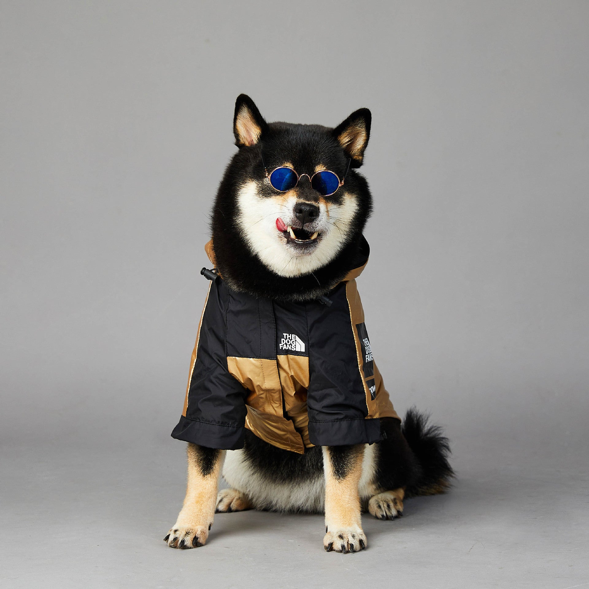 Waterproof Golden Dog Raincoat – Stylish Pet Jacket for Large Dogs (S–5XL) - Elibark Dog Supplies