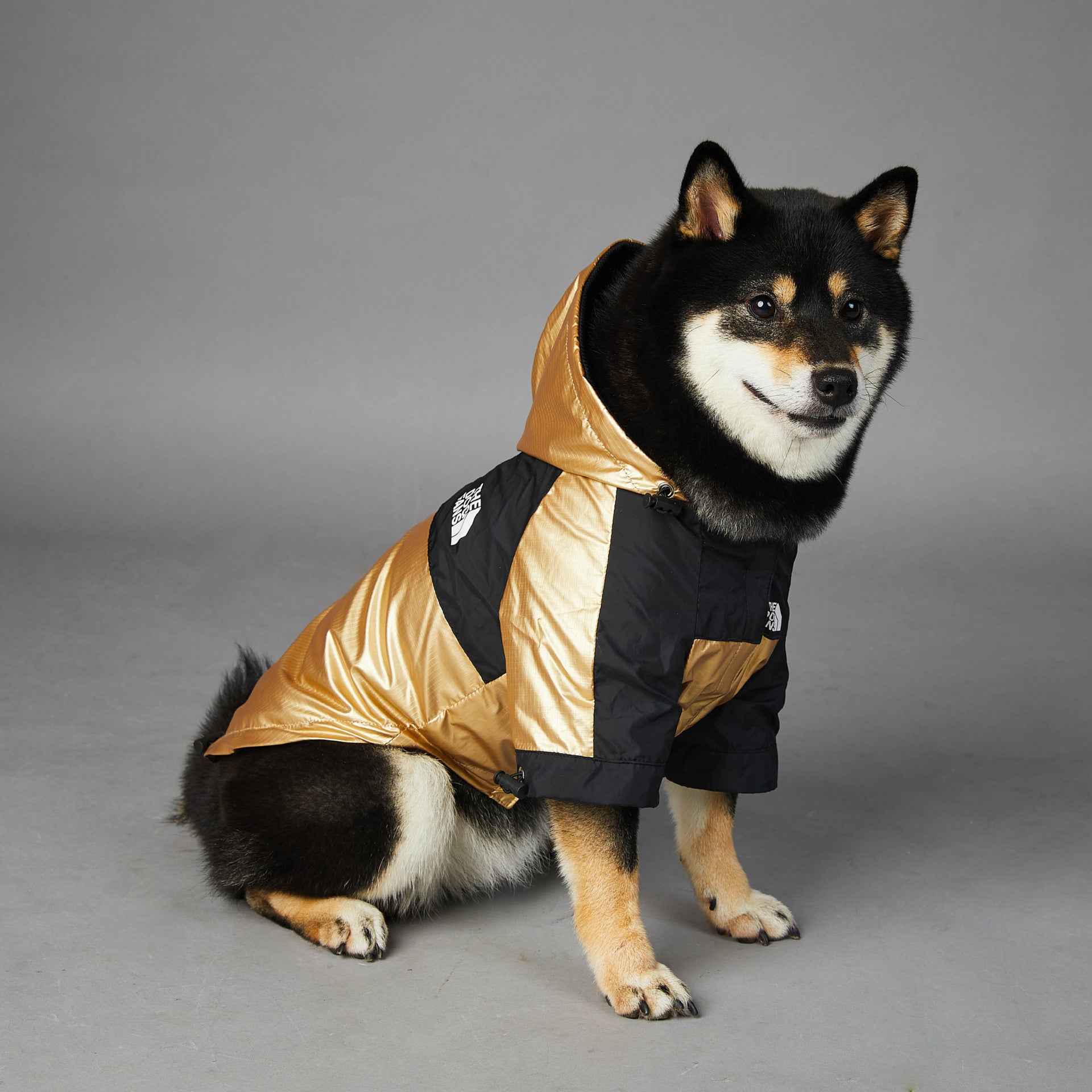 Waterproof Golden Dog Raincoat – Stylish Pet Jacket for Large Dogs (S–5XL) - Elibark Dog Supplies