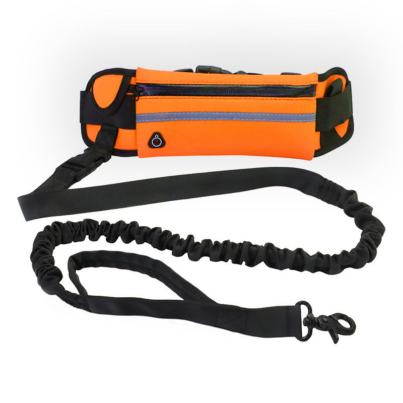 Jog With Your Dog Leash - Elibark Dog Supplies
