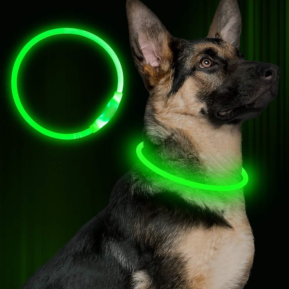 LED Dog Collar – USB Rechargeable Safety Light for Night Walks - Elibark Dog Supplies