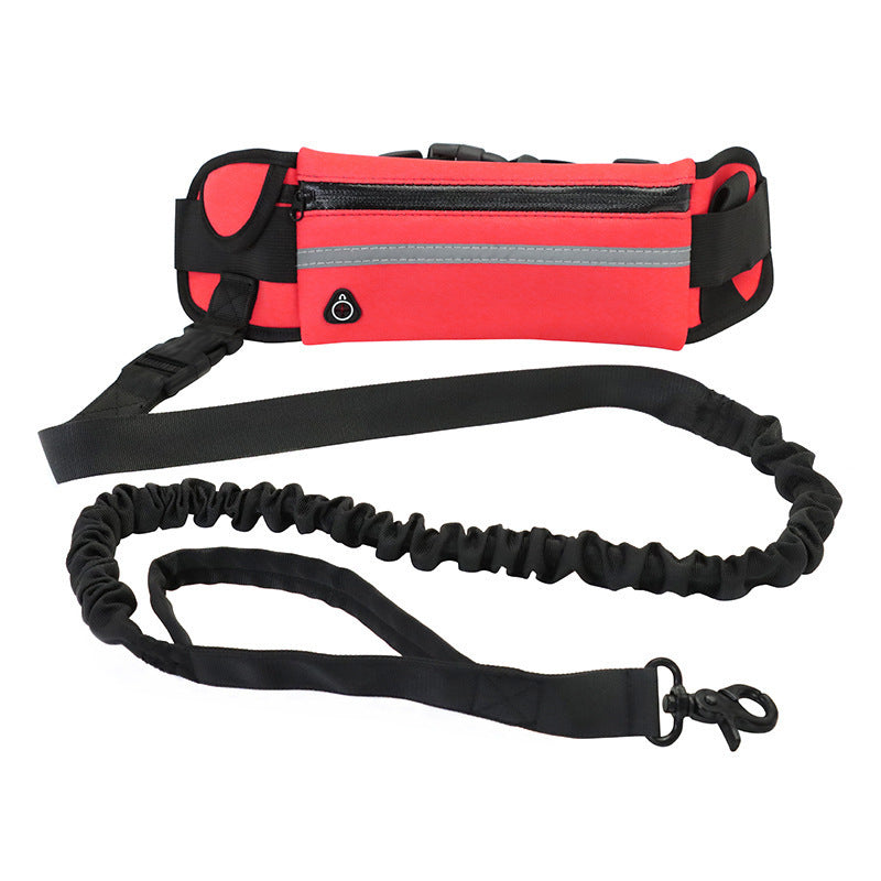 Jog With Your Dog Leash - Elibark Dog Supplies