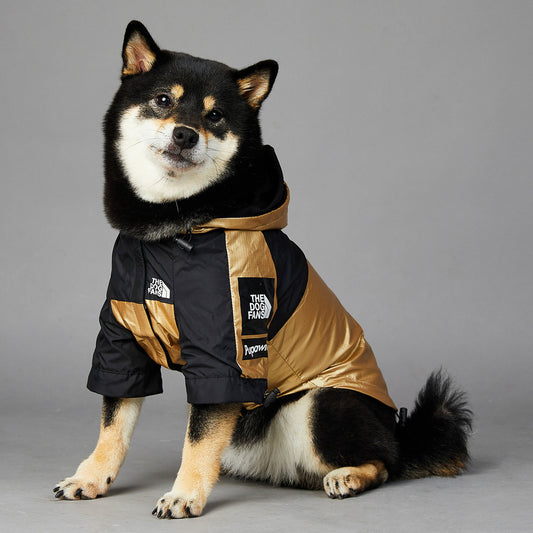 Waterproof Golden Dog Raincoat – Stylish Pet Jacket for Large Dogs (S–5XL) - Elibark Dog Supplies